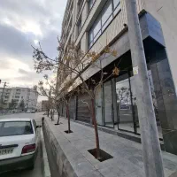 مغازه-50متری-11مترباکن-شیک-فیلت-تاپ-لوکیشن