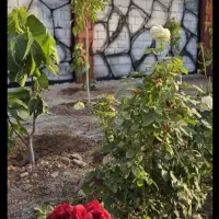 باغچه-174-متری-شهریار-سند-دار