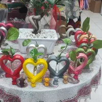 خانم جهت ادمین مغازه پلاسکو