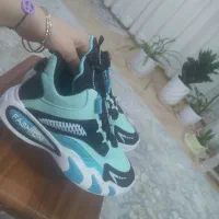 دو جفت کفش|کیف، کفش، کمربند|فاروج, |دیوار