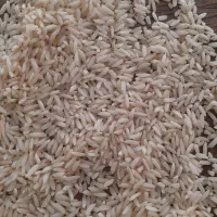 برنج درود امسال|خوردنی و آشامیدنی|گلپایگان, |دیوار