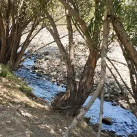 زمین کشاورزی