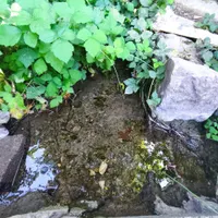 اجاره ویلایی ۶۵ متر شاهداعی الی الله