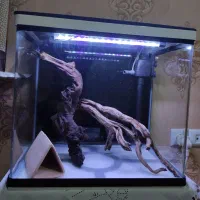 آکواریوم شرکتی k500 دلسا به همراه چوب آبنوس و...