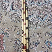 ساز نی|سازهای بادی|پیر بکران, |دیوار