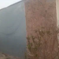 کانکس|عمده‌فروشی|بم, |دیوار