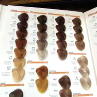 رنگ مو پنتی|آرایشی، بهداشتی، درمانی|قم, حنیف نژاد|دیوار