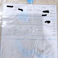 زمین مسکونی قلب سیریک