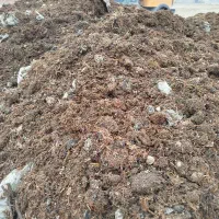 کود حیوانی کود قارچ کمپوست