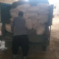 کود سفید سینیم۱۷۵۰۰۰۰