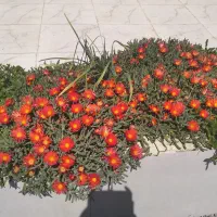 منزل مسکونی