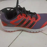 کفش اصل ادیداس(adidas) نو