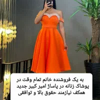 فروشنده خانم تمام وقت در پوشاک مجلسی زنانه|استخدام بازاریابی و فروش|اهر, |دیوار