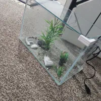 آکواریوم و بخاری ماهی|ماهی|دزفول, |دیوار