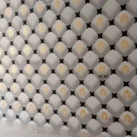 نقاش ساختمان ورنگ|خدمات پیشه و مهارت|شوشتر, |دیوار