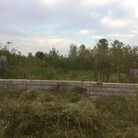 زمین 285متری شهری لنگرود