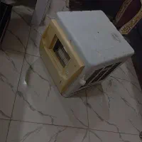 کولرابی در حد بدون ایراد