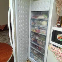فریزر الکترو استیل|یخچال و فریزر|مشهد, رضاشهر|دیوار