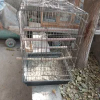 قفس چوبی وآهنی|لوازم جانبی حیوانات|کرج, شهرک سهرابیه|دیوار