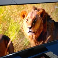 ۴۲ اینچ سامسونگ اصل کره|تلویزیون و پروژکتور|کوهدشت, |دیوار