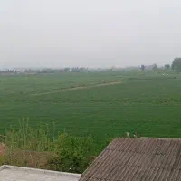 ۳۰ هکتار زمین با چاه آب برای اجاره یک ساله