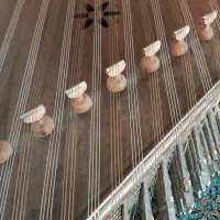 سنتور دومهر ویژه موسوی