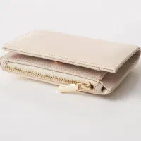 کیف پول گمشده