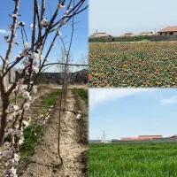 چهاردیواری-با-دسترسی-قوی-خرید-قسطی-بدون-سود