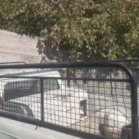 کفب وباربندوانت