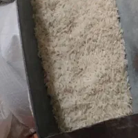 برنج نیم دانه ، لاشه،بلند دانه ایرانی هاشمی|خوردنی و آشامیدنی|مشگین شهر, |دیوار