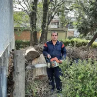 برش و هرس درخت با اره موتوری شهریار دهشاد