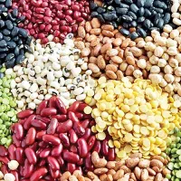 استخدام بازاریاب نیمه وقت خانم