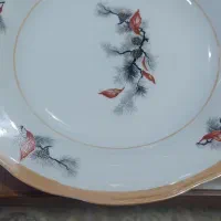 بشقاب خورش خوری