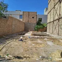 فیش زمین گیشا