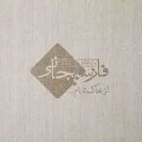 راننده نیسان