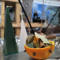 آموزش و انجام فال تاروت و شمع درمانی