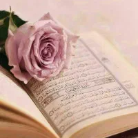 سرکتاب