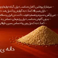 روغن درمانی و آموزش ساخت انواع روغن هاو چهره خوانی|خدمات آموزشی|ورامین, ورامین|دیوار