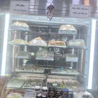 یخچال تمام استیل