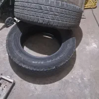 لاستیک|قطعات یدکی و لوازم جانبی|آمل, |دیوار