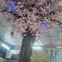شکوفه خارجی