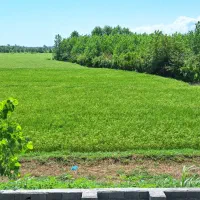 فروش ویلایی نوساز|فروش خانه و ویلا|رودسر, |دیوار