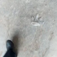 فروش زمین نجاری