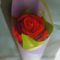 گل روبانی|گل مصنوعی|خرمشهر, |دیوار