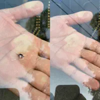 شیشه اتومبیل شیشه دودی ترمیم شیشه بالابر آینه|خدمات موتور و ماشین|اراک, |دیوار