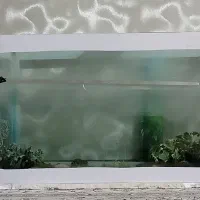 وسایل خونه|گلیم، جاجیم، گبه|مشهد, گاز|دیوار