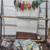 دار قالی به همراه خامه