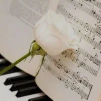 دانشجو روانشناسی هستم