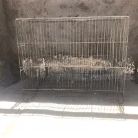 قفس