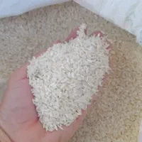 برنج چمپای میداوود ـ سرله ـ دوگچه وو